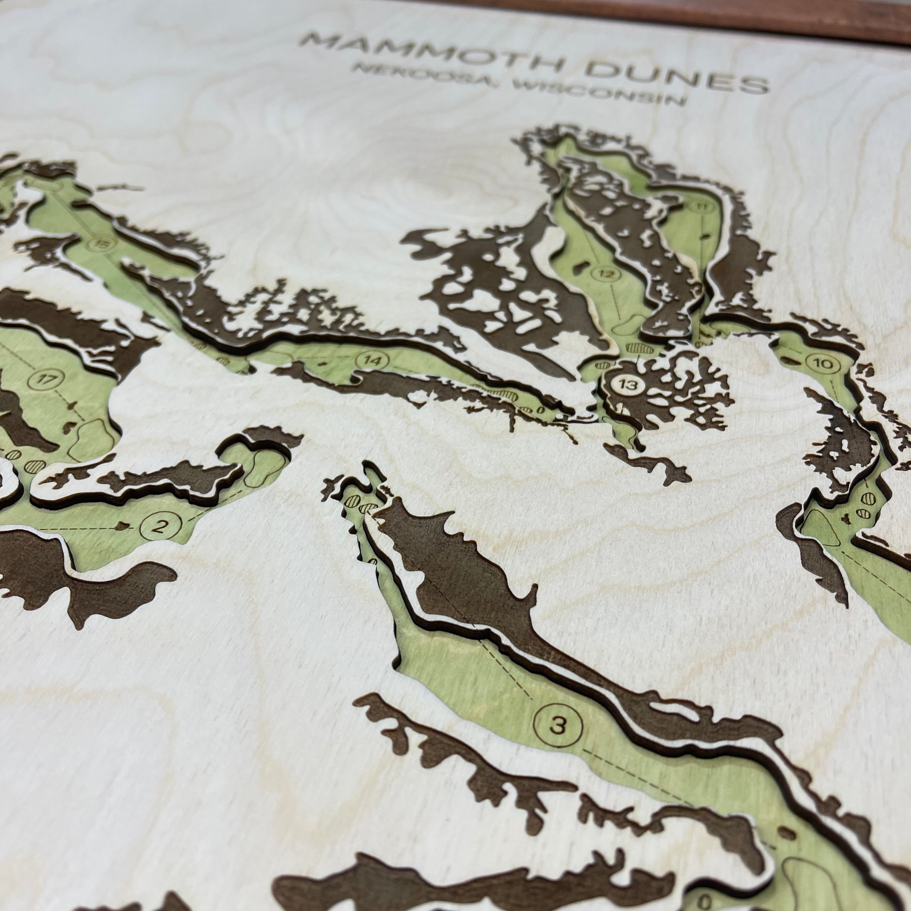 Custom 3D Wood Golf Course Map