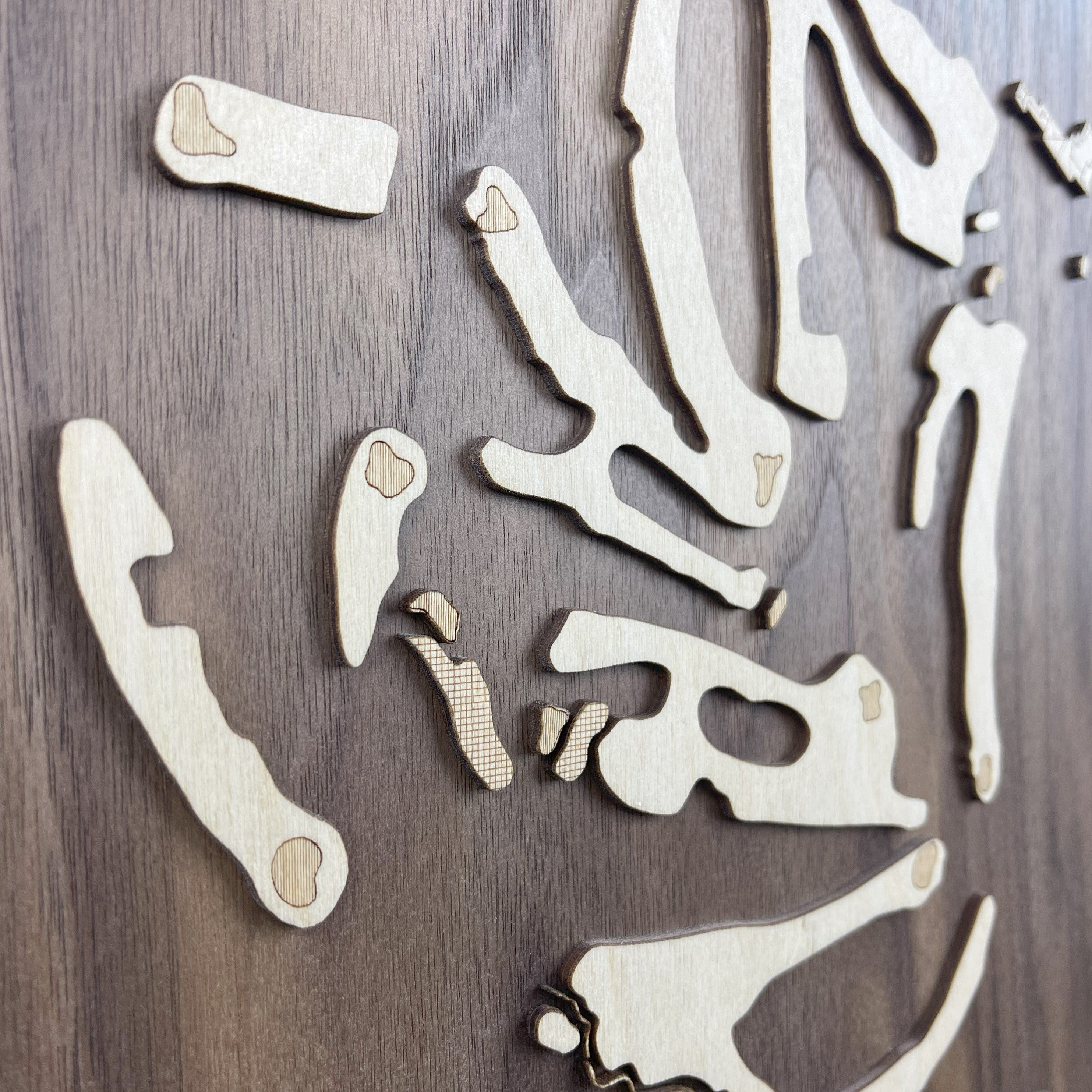 Custom Modern Layered Wood Golf Course Map